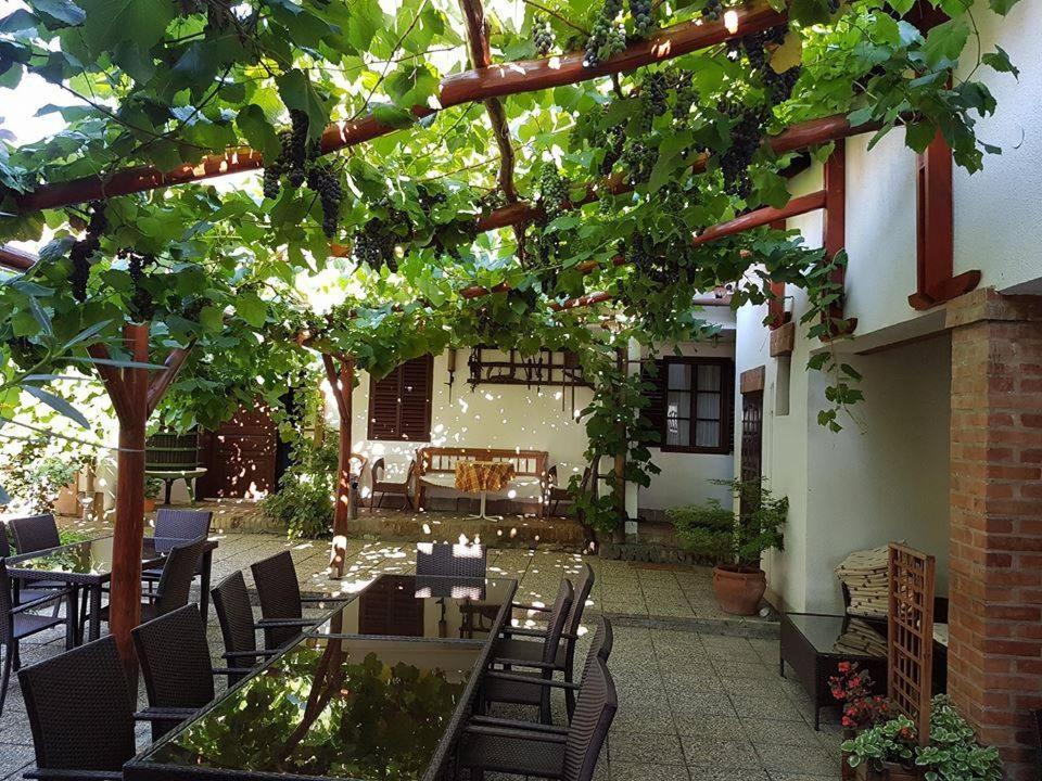 Polgar Panzio Bed & Breakfast Villany Bagian luar foto