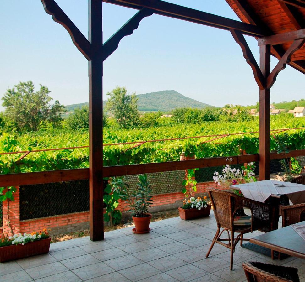 Polgar Panzio Bed & Breakfast Villany Bagian luar foto